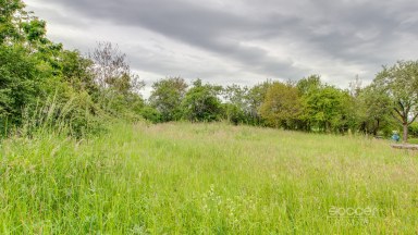 Pronájem pozemku - zahrady, 761 m2, Praha 10 - Dubeč.