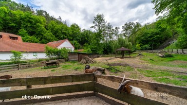 Prodej stavebního pozemku 800 m2, obec Oparno, okres Litoměřice.