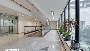 Pronájem kanceláře 17,19 m2 ulice Sokolovská