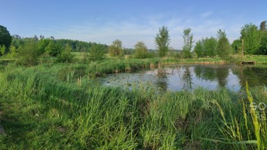 Pronájem rekreační chaty, Suhrovice, 16 km od Mladé Boleslavi.