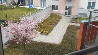Pronájem novostavby bytu 1+kk/S, v Praze 18 - Letňany, ulice Hlučkova.